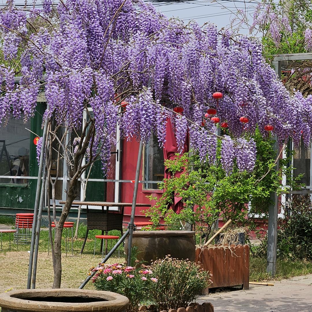 下次看海约在哪