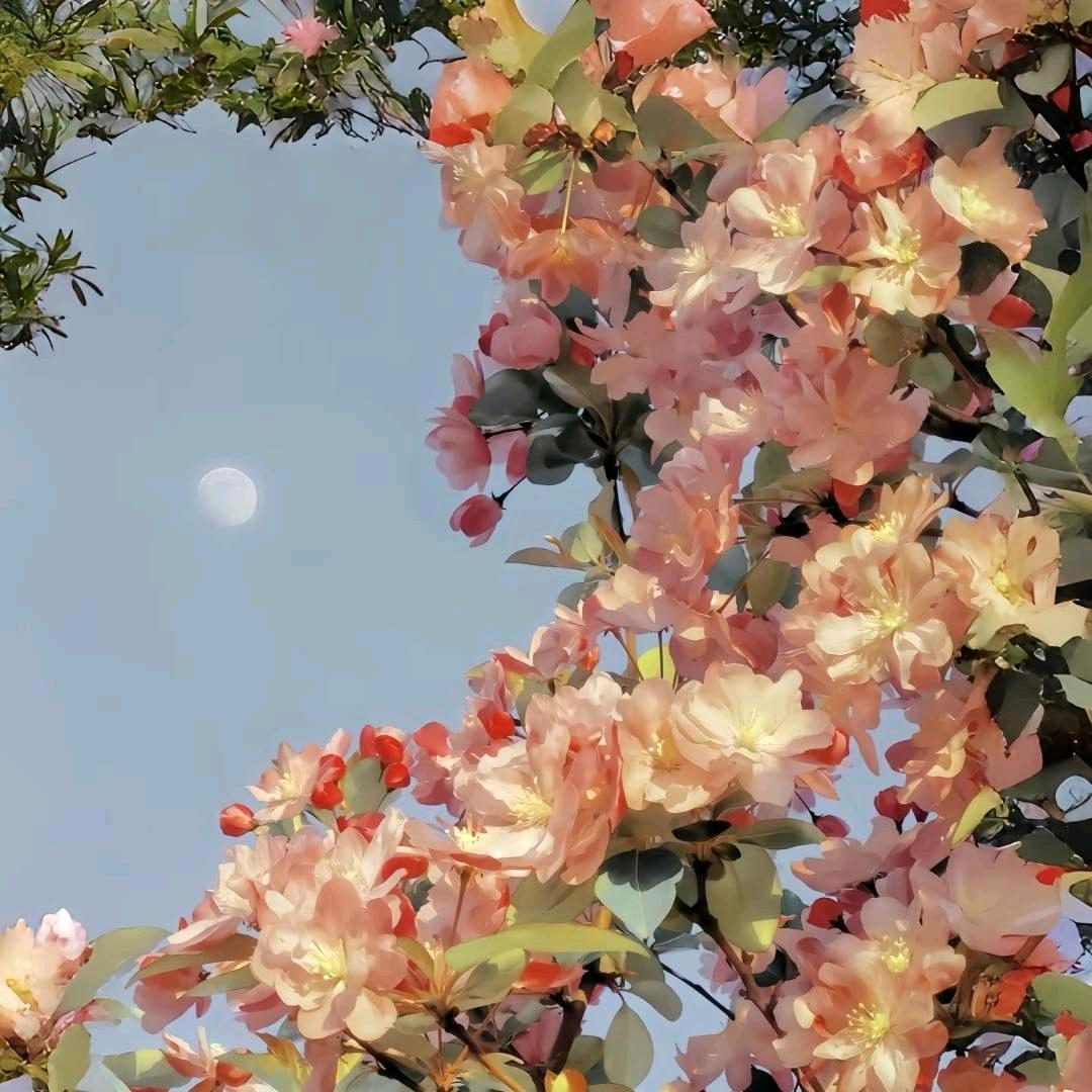 风物长宜放眼量