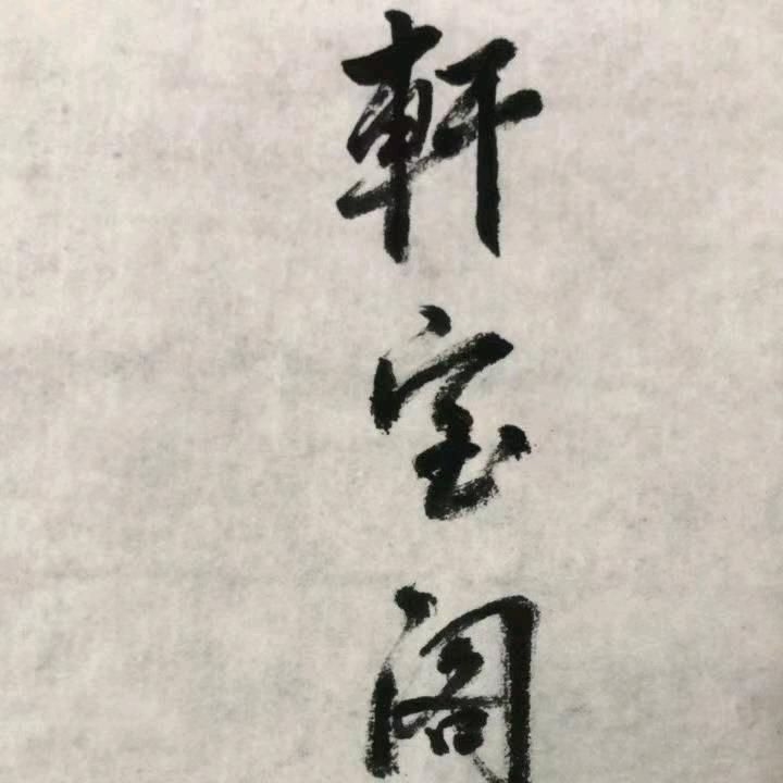 轩宝阁(建德大洋)