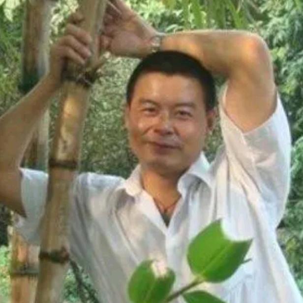 丫丫丫丫小丫丫