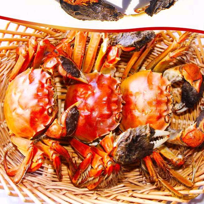 多蟹有礼8（盘锦河蟹）