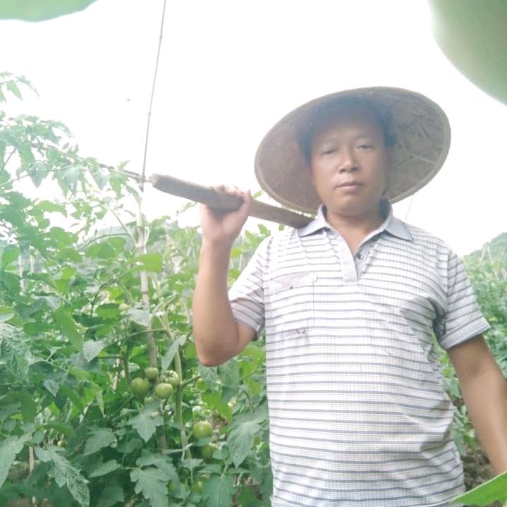相隔思念