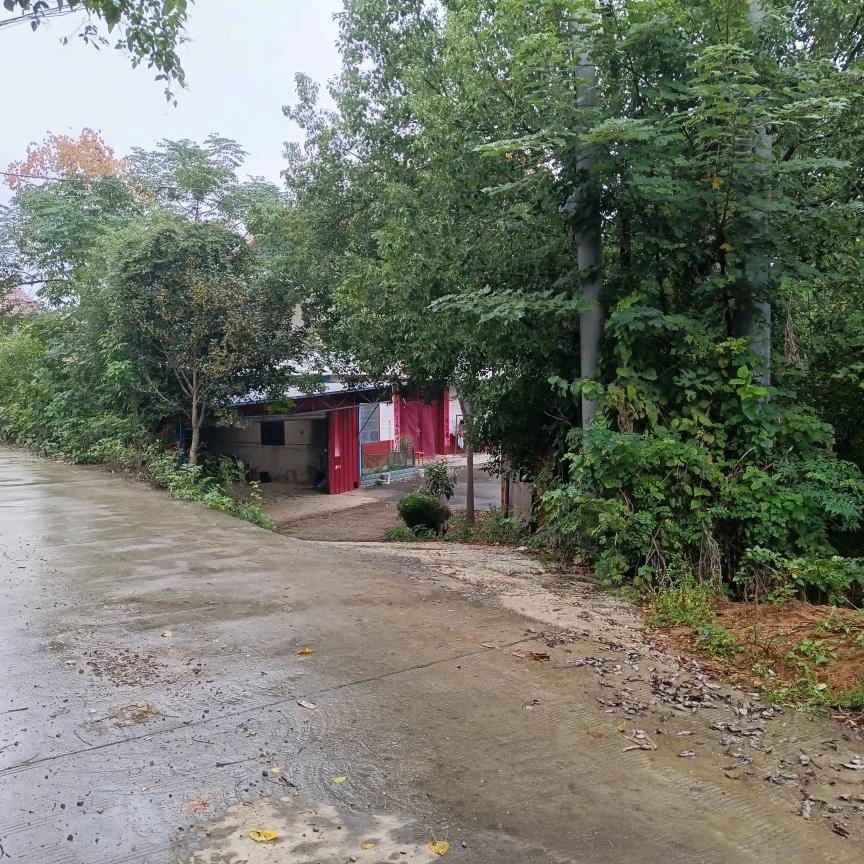 古典身韵跟练版