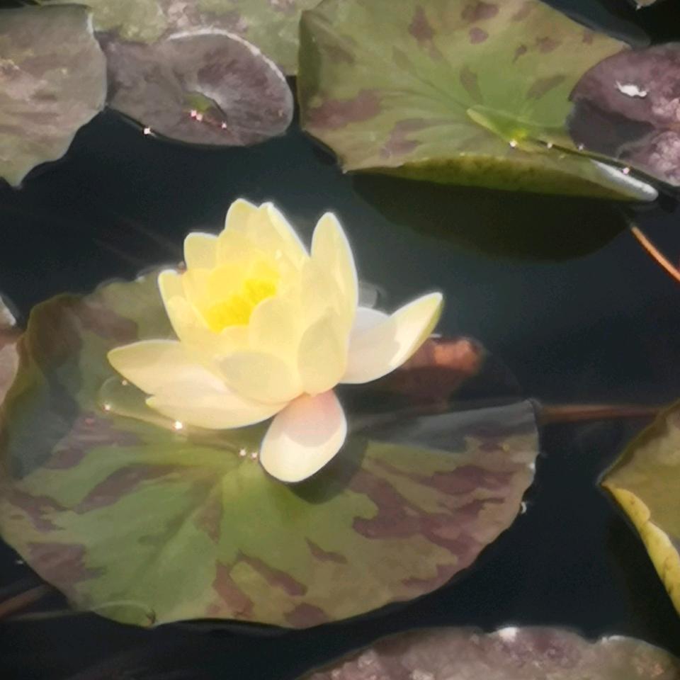 人生本来就一无所有