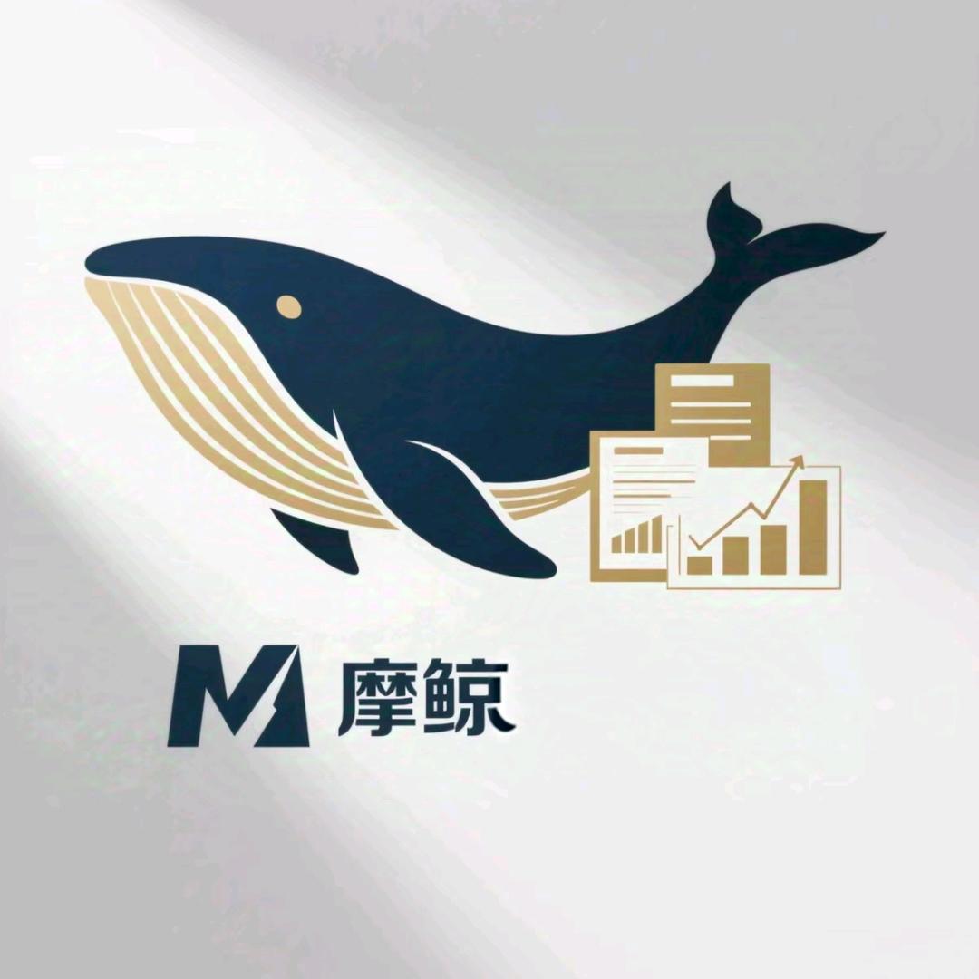 摩鲸小鱼哥