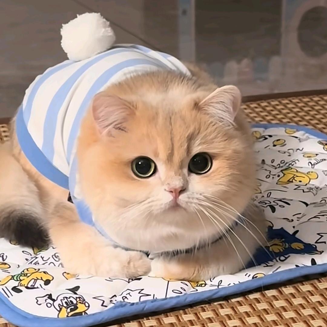 人生是一场修行。