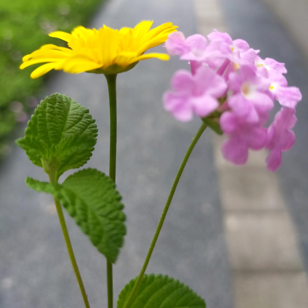 淡然，拒绝私聊
