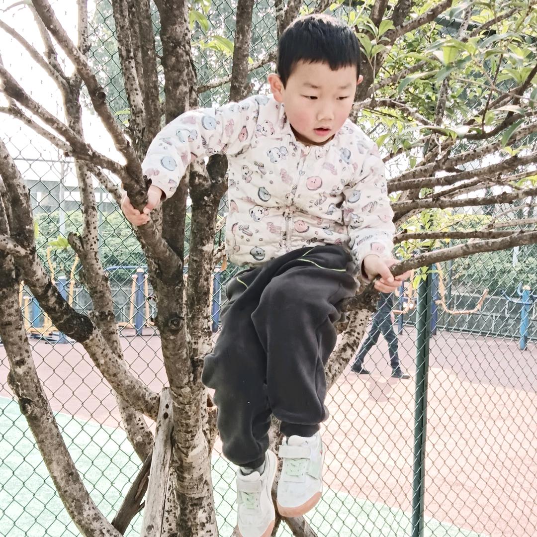 火牛姐（下午2.20）