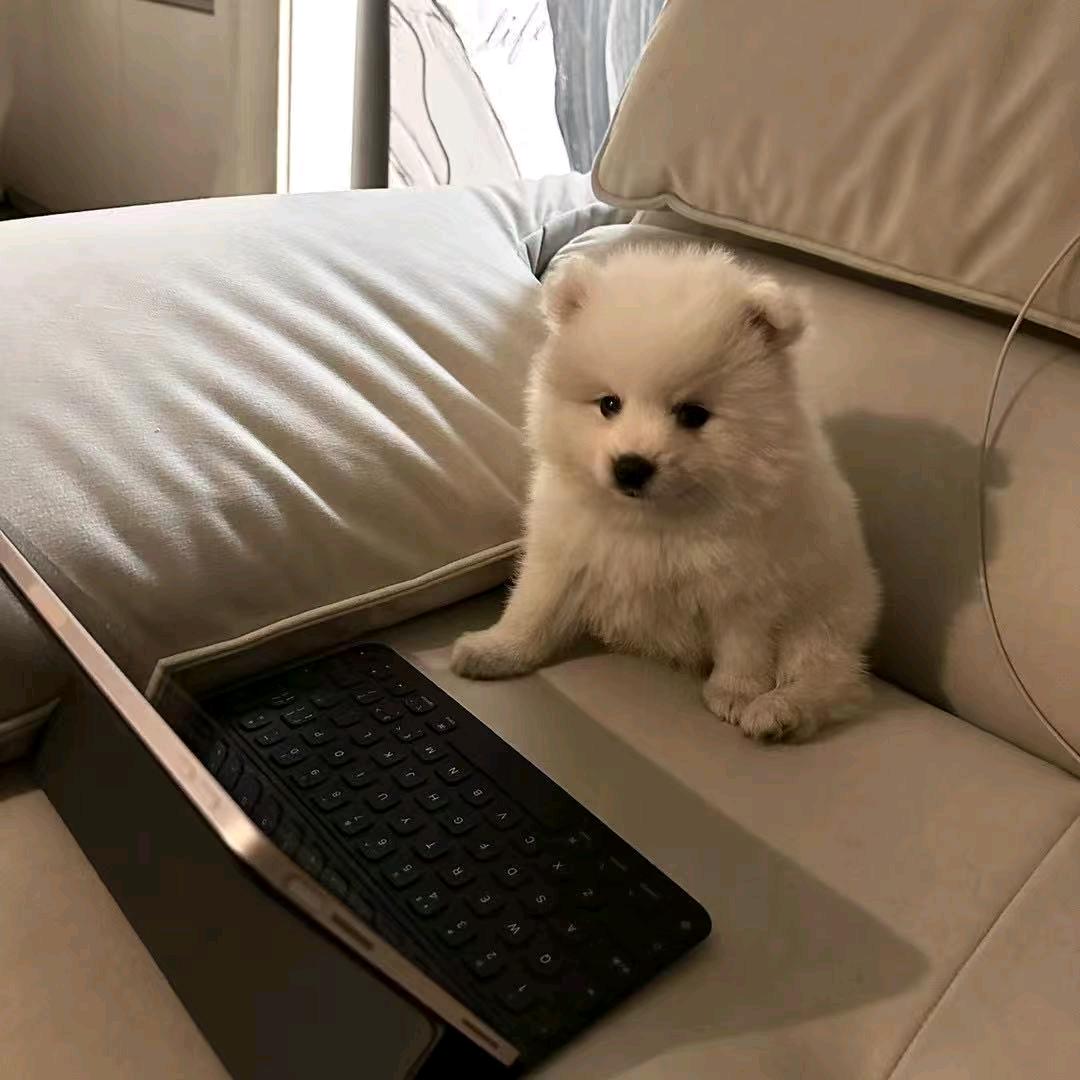 浪子玩杭州