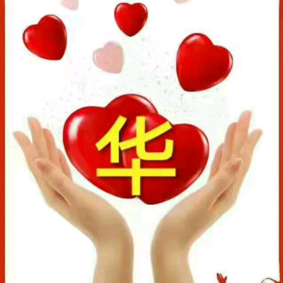 私奔到月球去