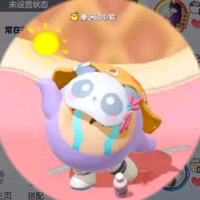 晚上🐾袜子🐾