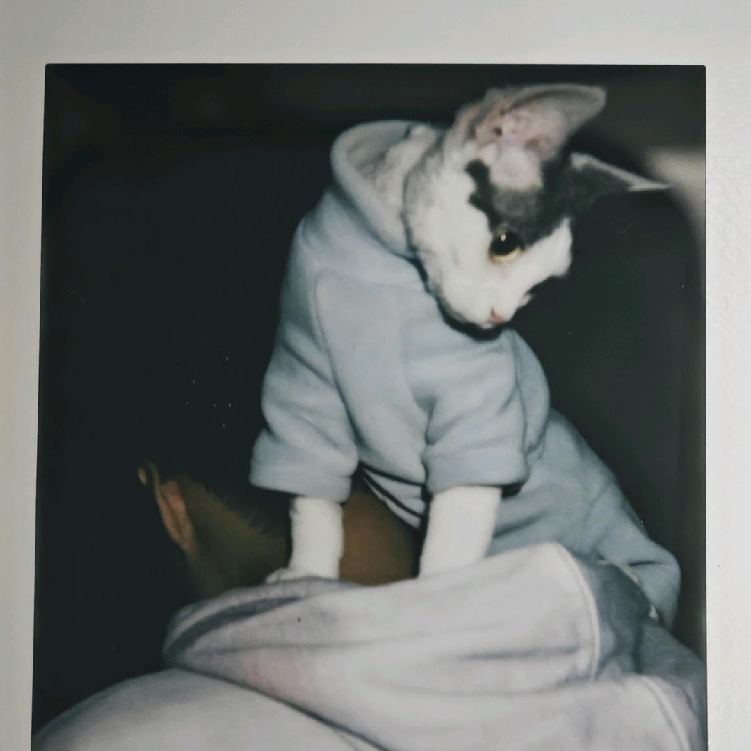 欧策策_occ📷
