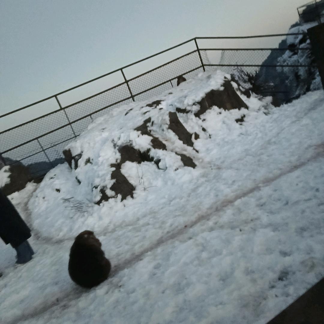 燕姐