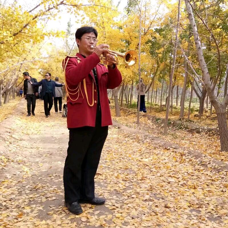 万荣飞娃
