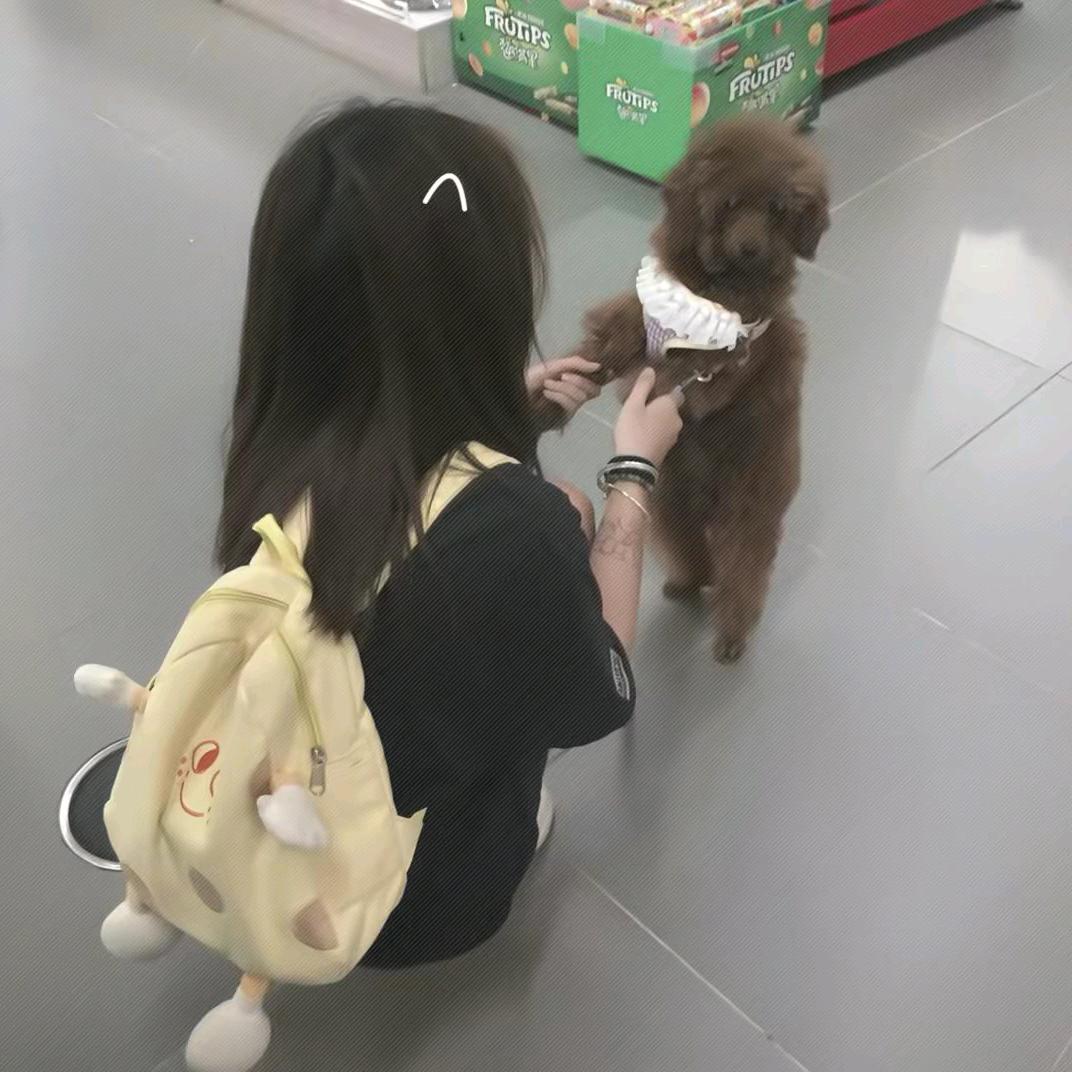 -心碎小挽^