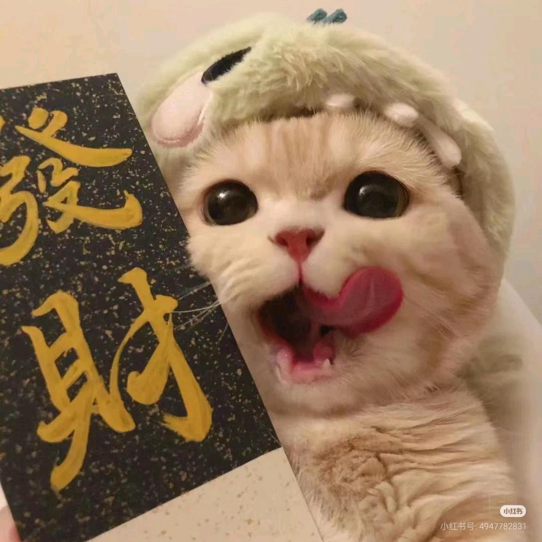 甜柚好物推荐
