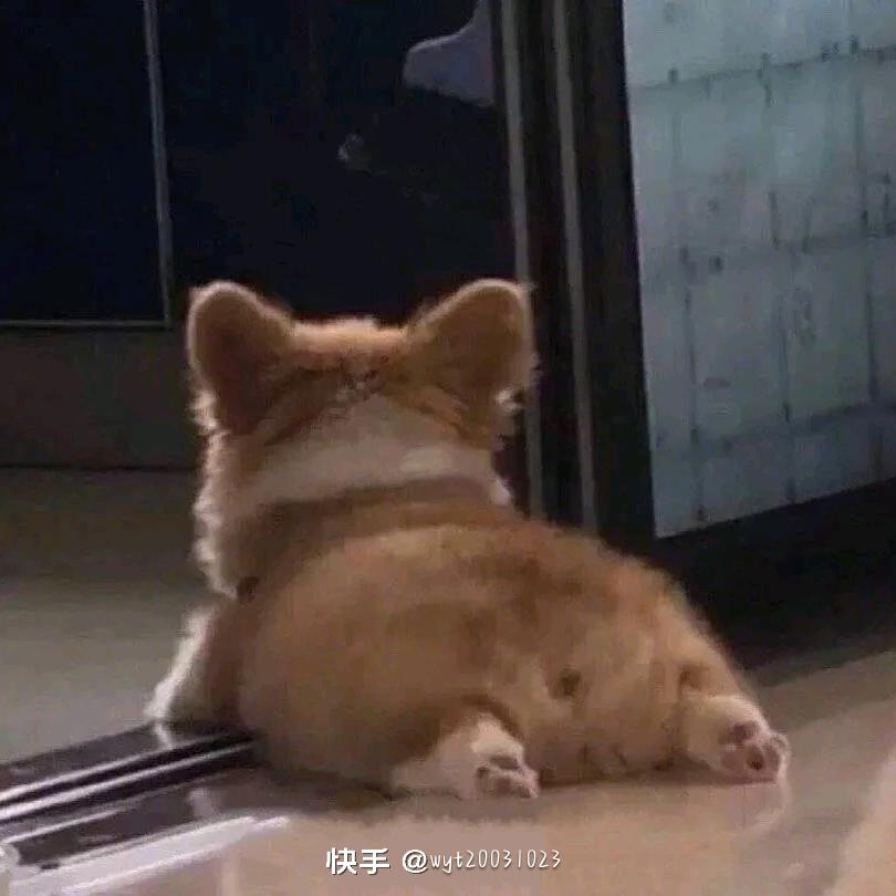 一只洗衣机