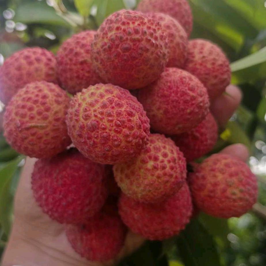 风起云涌