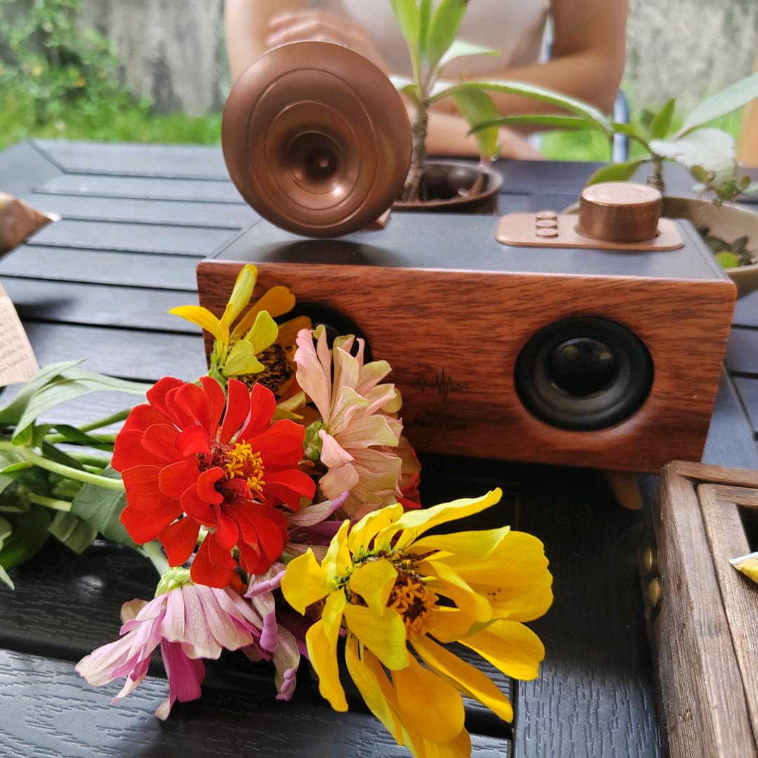 天行健君子以自强不息