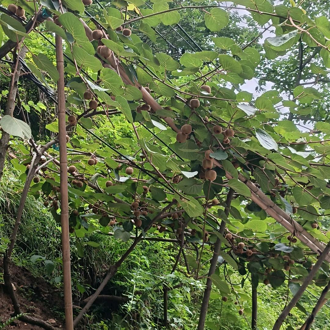 @风雨无阻