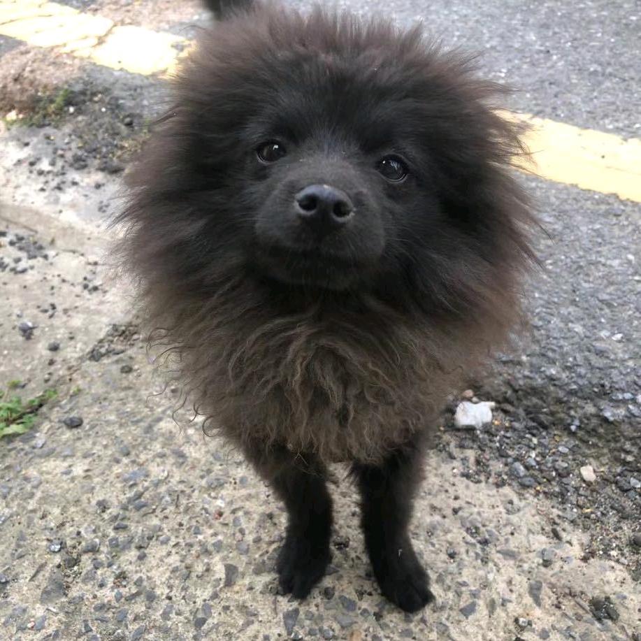 🐺完事抖抖😍