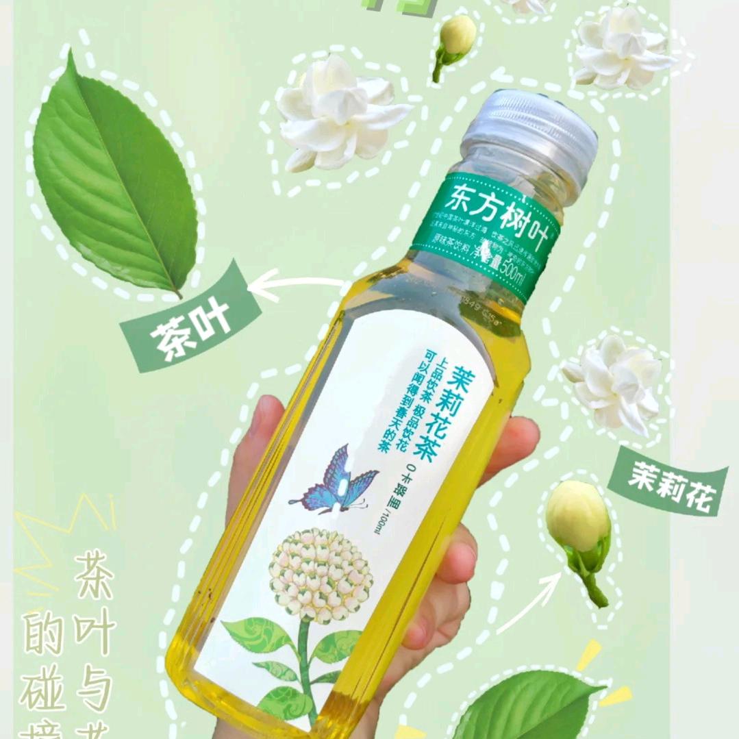东方树叶中国茶