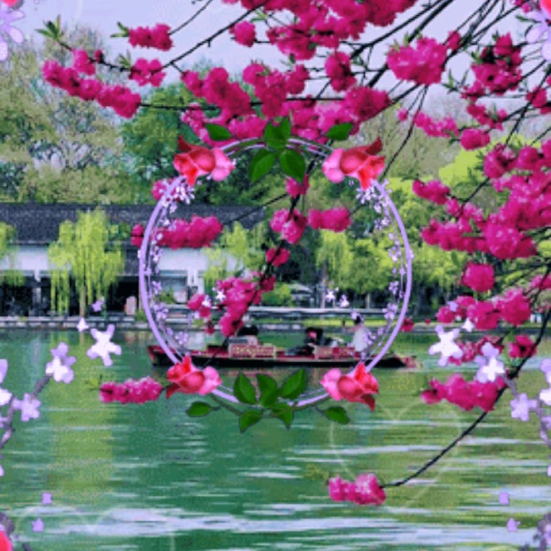 周多芬