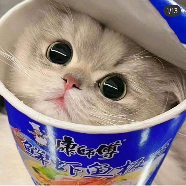 馋猫零食