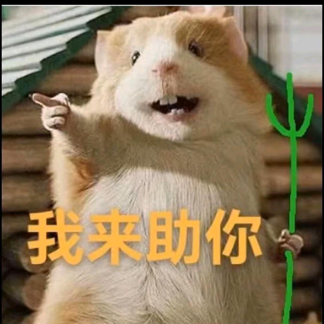 四夕小月