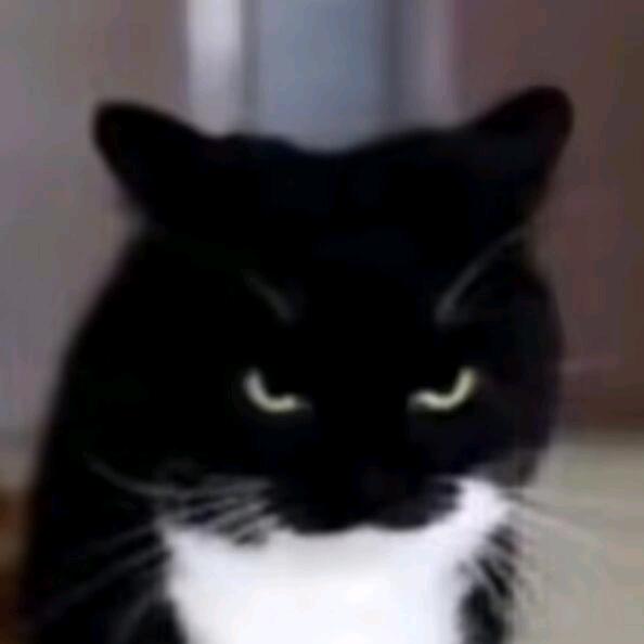 财从四面八方来财神爷爱我