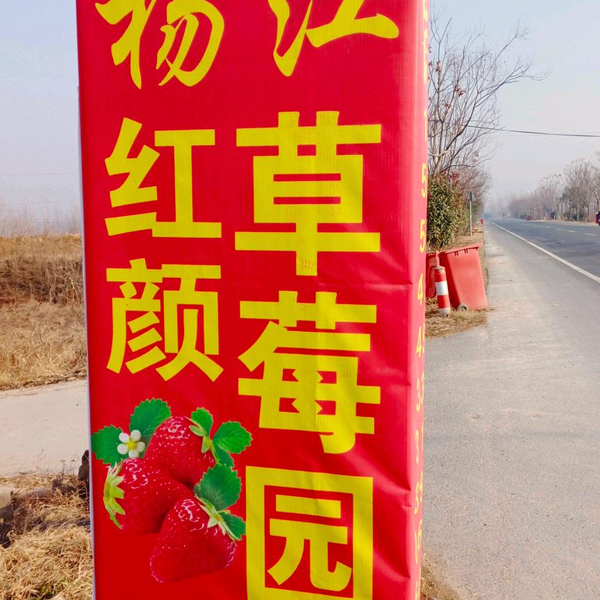 雨🌹🌹后🌧见☔️彩🎄虹🪷💐