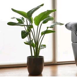 梦幻生活小铺3Z6