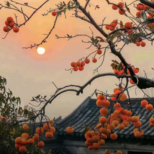 善解人意