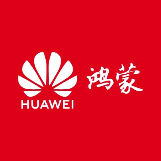 遵纪守法的李某🇨🇳