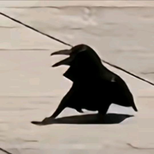 夯大力.