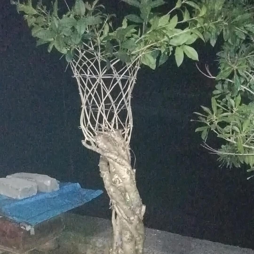 我的缘分在哪里？