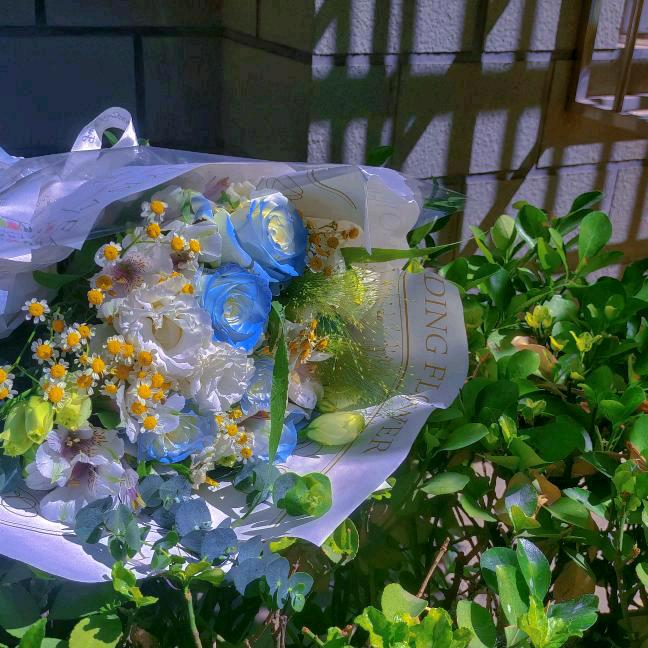 H.海一葡萄