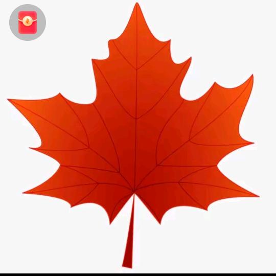 王爱国