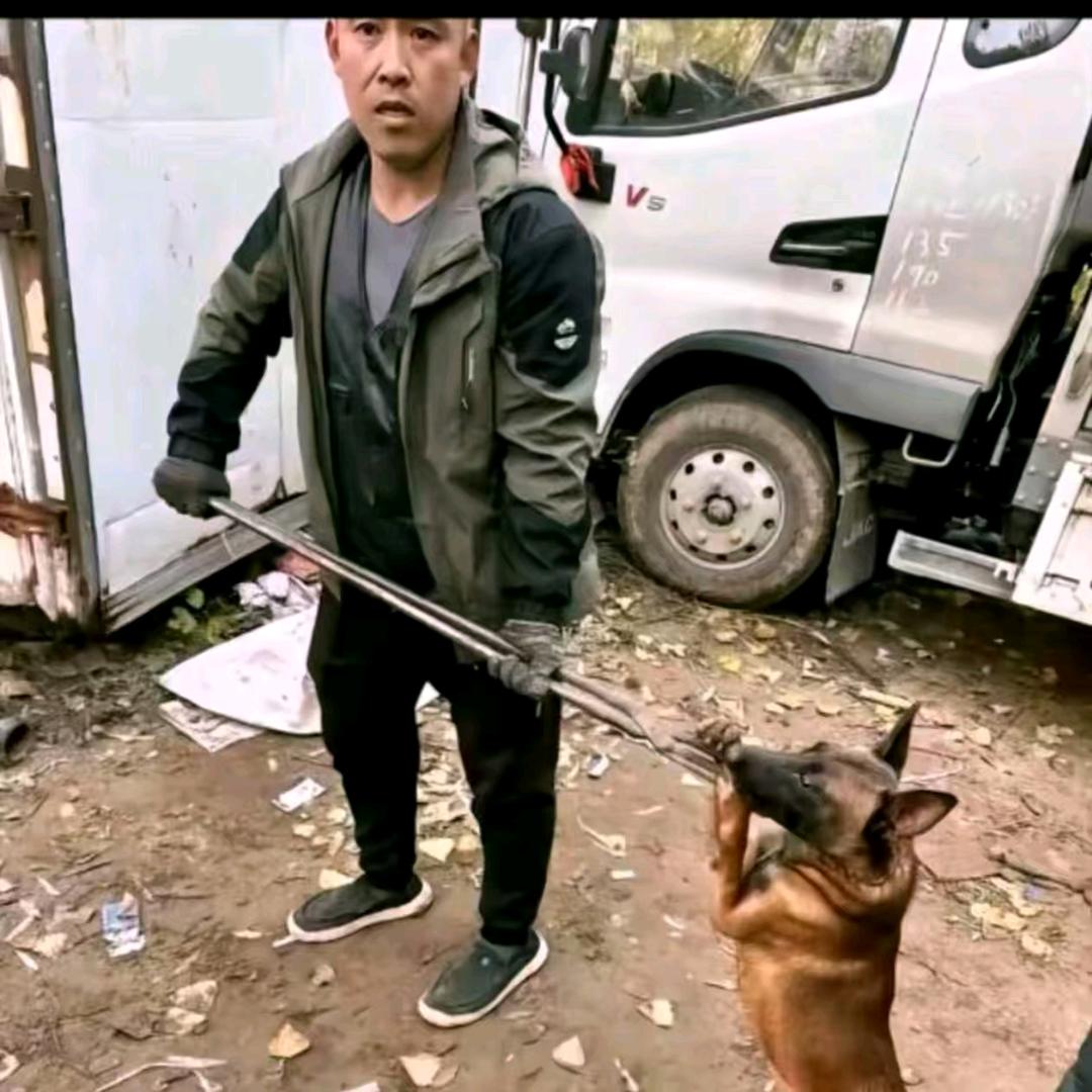 AAA阎哥专业套狗