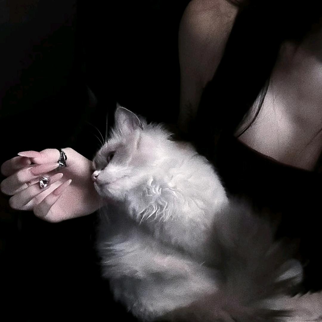 夜宵。