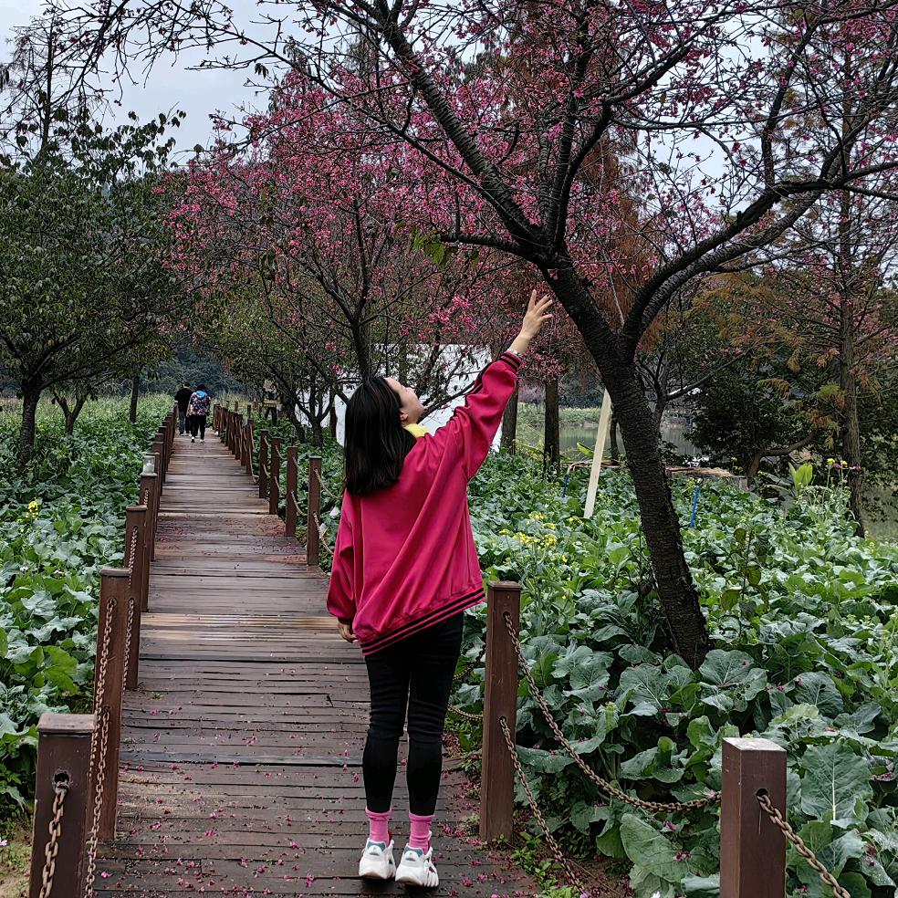 ᥫᦱᐝ安然de≈向日葵🌻࿐