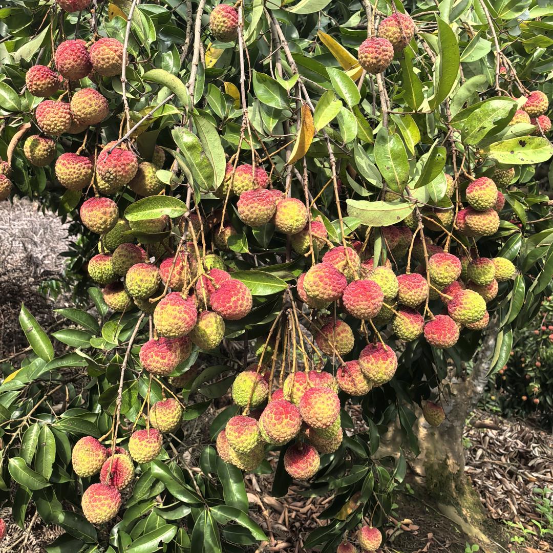 农田的四季轮回