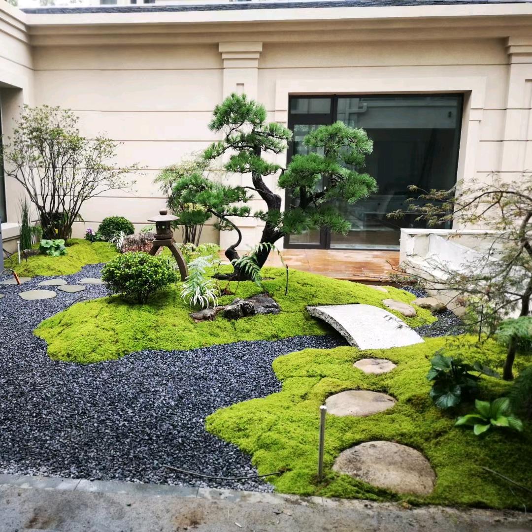 苔多多苔藓种植基地