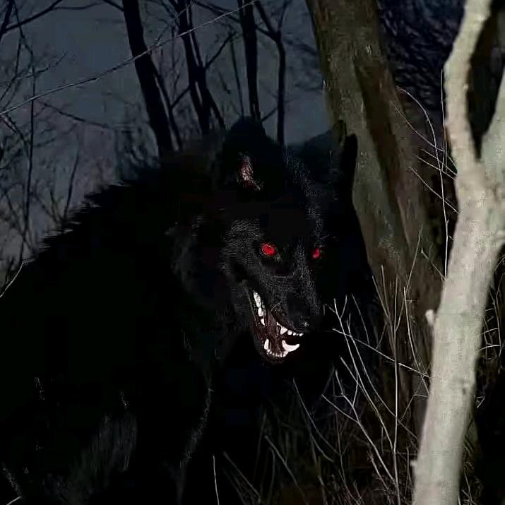 向僵尸开炮-北北