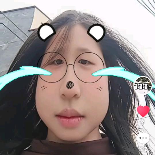 仪仪