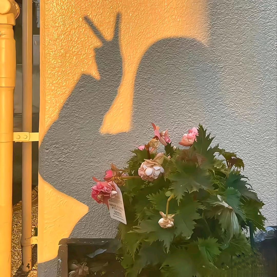 ✨ 招贤-王敏