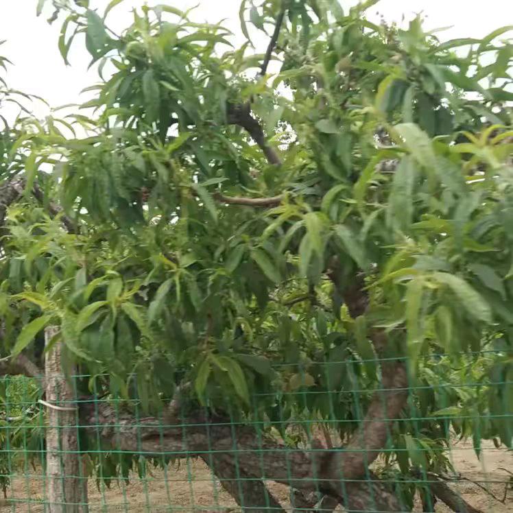 甘油航天等1.2万人点赞 了你的作品。