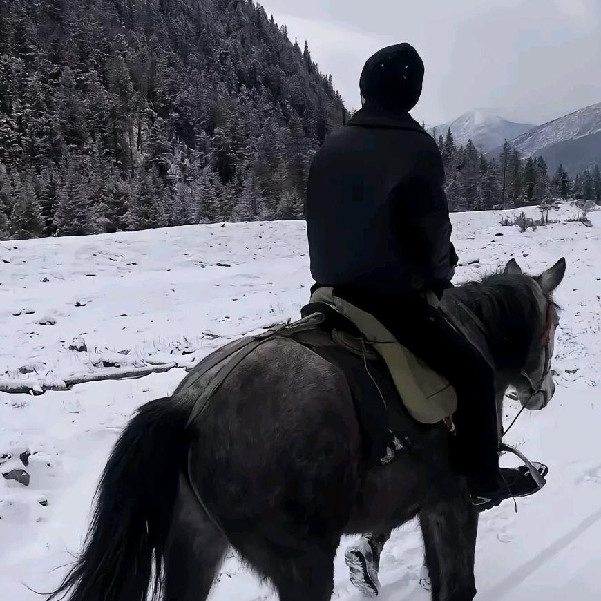 菏泽强盛数码  专业收手表