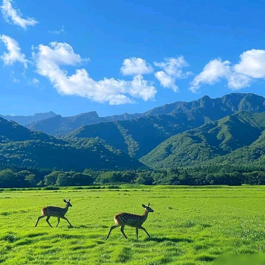田班长