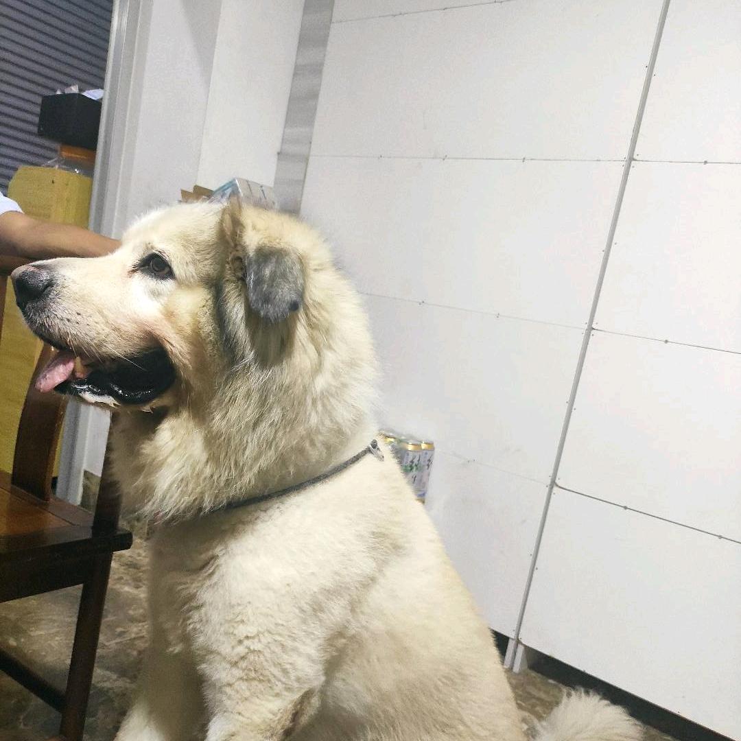 静儿好物甄选